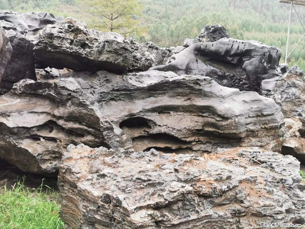 风景石、假山石大量有货，有需要的欢迎联系 - 新手上路 - 湖州生活社区 - 湖州28生活网 huzhou.28life.net