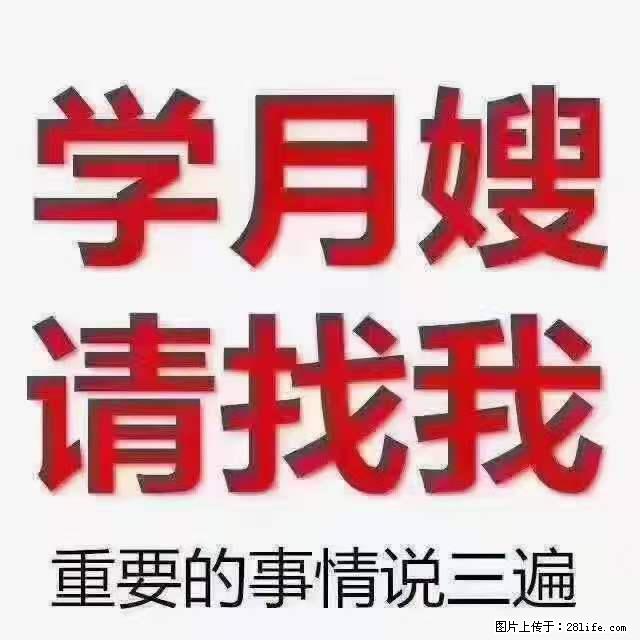 为什么要学习月嫂，育婴师？ - 新手上路 - 湖州生活社区 - 湖州28生活网 huzhou.28life.net