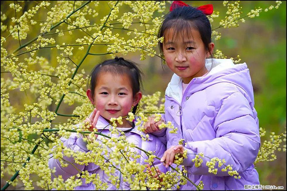 【春天，广西桂林灌阳县向您发出邀请！】米珠山前有片山苍子花在飘香 - 游山玩水 - 湖州生活社区 - 湖州28生活网 huzhou.28life.net