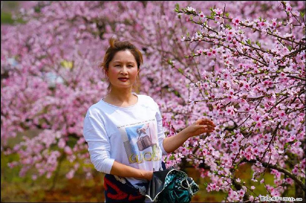 【春天，广西桂林灌阳县向您发出邀请！】官庄村有个醉美的桃花园 - 游山玩水 - 湖州生活社区 - 湖州28生活网 huzhou.28life.net