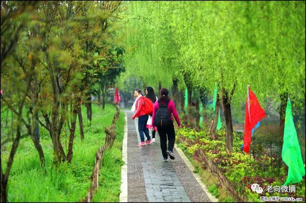 【春天，广西桂林灌阳县向您发出邀请！】江口老街又逢春 - 游山玩水 - 湖州生活社区 - 湖州28生活网 huzhou.28life.net