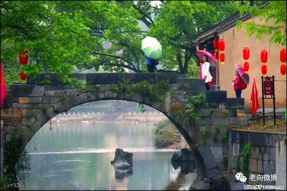 【春天，广西桂林灌阳县向您发出邀请！】江口老街又逢春 - 游山玩水 - 湖州生活社区 - 湖州28生活网 huzhou.28life.net