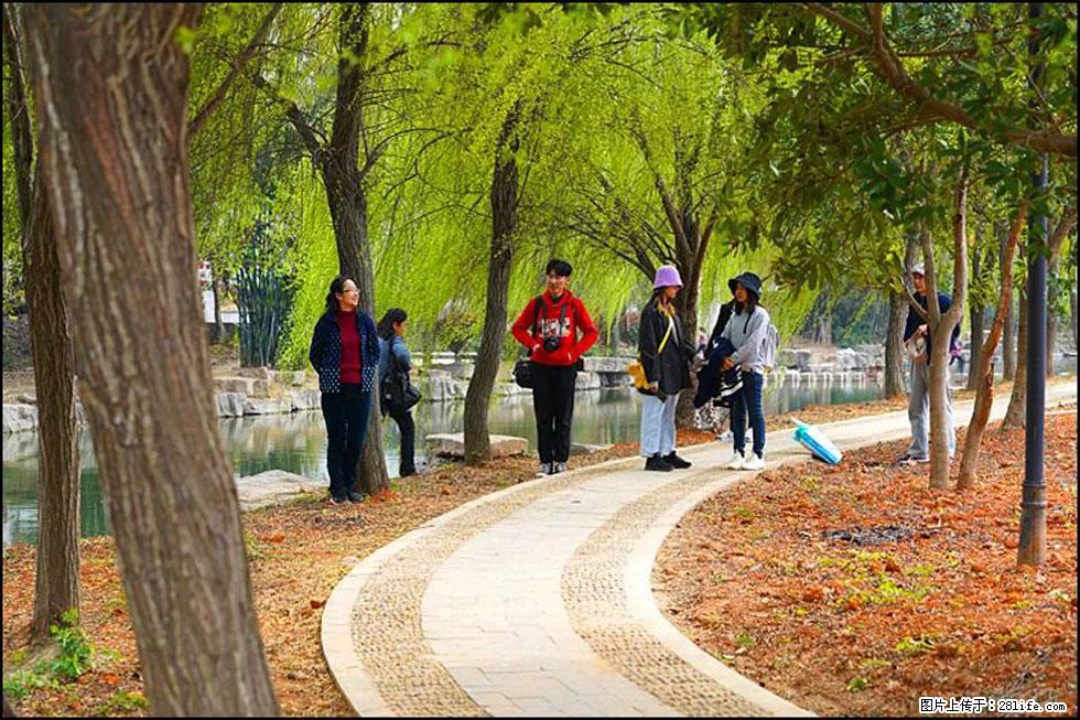 【春天，广西桂林灌阳县向您发出邀请！】江口老街又逢春 - 游山玩水 - 湖州生活社区 - 湖州28生活网 huzhou.28life.net