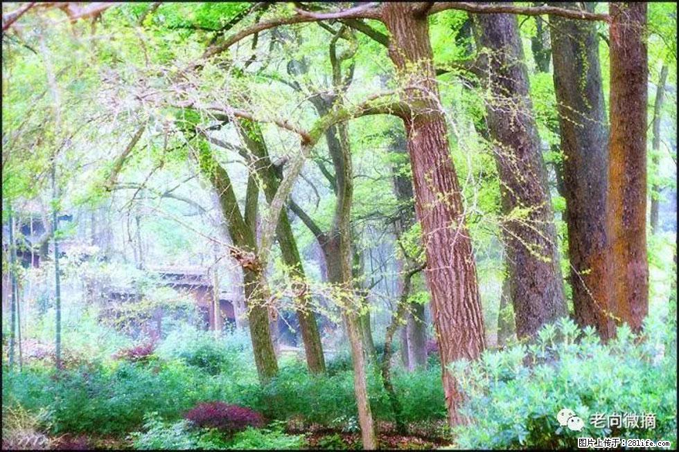 【春天，广西桂林灌阳县向您发出邀请！】在小龙村与春天约会 - 游山玩水 - 湖州生活社区 - 湖州28生活网 huzhou.28life.net