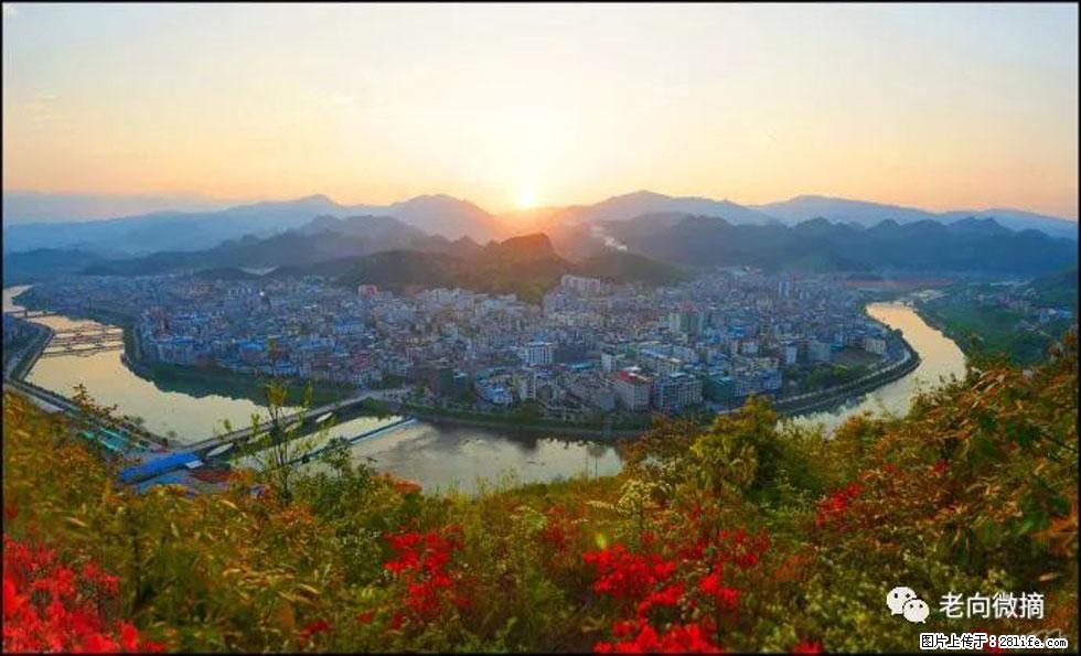 【春天，广西桂林灌阳县向您发出邀请！】登麒麟山，相约映山红 - 游山玩水 - 湖州生活社区 - 湖州28生活网 huzhou.28life.net