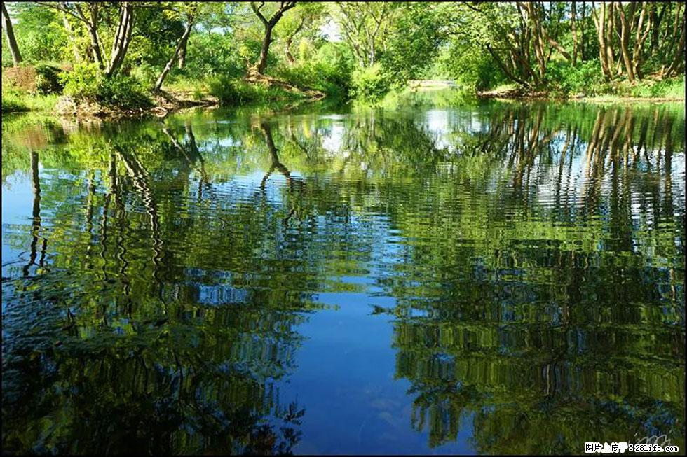 【春天，广西桂林灌阳县向您发出邀请！】熊家寨湿地公园 - 游山玩水 - 湖州生活社区 - 湖州28生活网 huzhou.28life.net