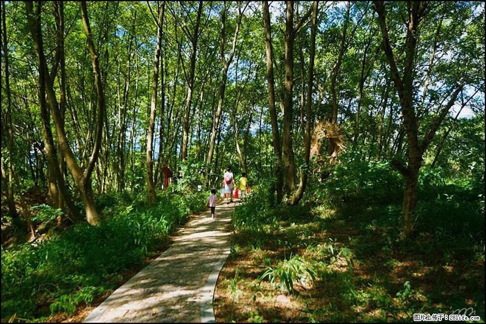 【春天，广西桂林灌阳县向您发出邀请！】熊家寨湿地公园 - 游山玩水 - 湖州生活社区 - 湖州28生活网 huzhou.28life.net