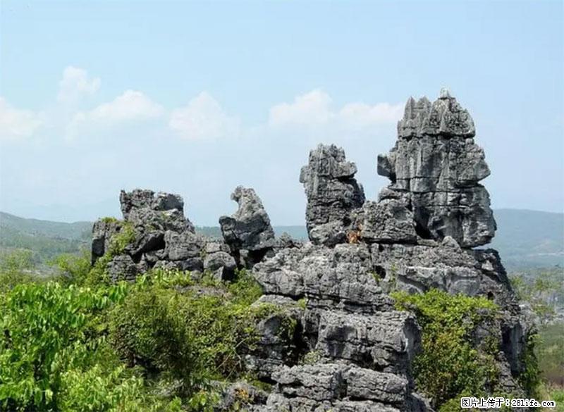 桂林旅游名城景点：灌阳文市石林 - 游山玩水 - 湖州生活社区 - 湖州28生活网 huzhou.28life.net