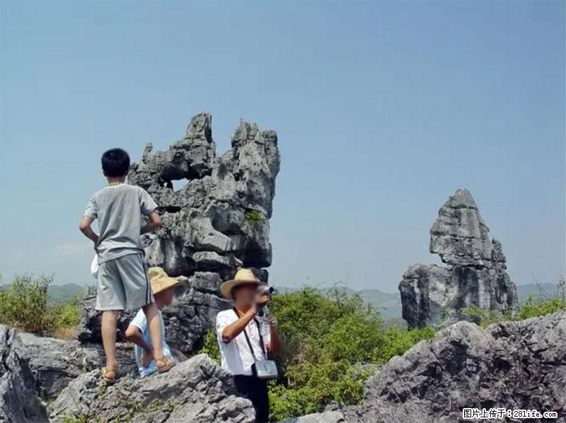 桂林旅游名城景点：灌阳文市石林 - 游山玩水 - 湖州生活社区 - 湖州28生活网 huzhou.28life.net