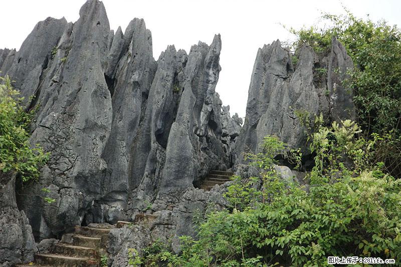 桂林旅游名城景点：灌阳文市石林 - 游山玩水 - 湖州生活社区 - 湖州28生活网 huzhou.28life.net
