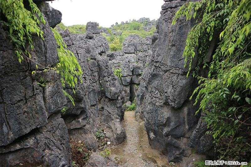 桂林旅游名城景点：灌阳文市石林 - 游山玩水 - 湖州生活社区 - 湖州28生活网 huzhou.28life.net