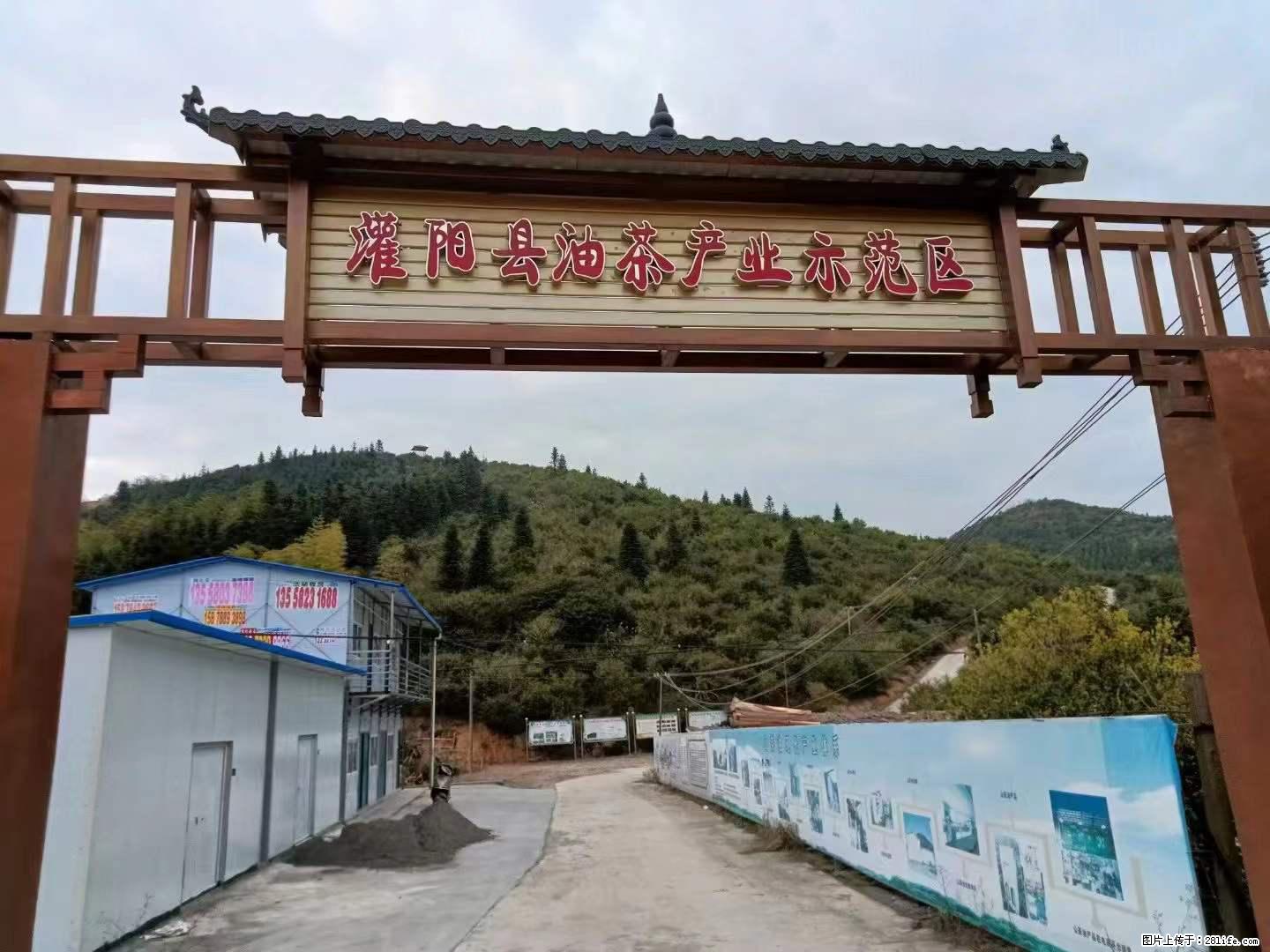 【灌阳县油茶产业示范区】一个有着充实的精神生活的人，对待身外之物自会有一种淡泊的态度 - 美食天地 - 湖州生活社区 - 湖州28生活网 huzhou.28life.net