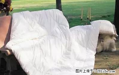 被子有异味?只要这样做,比晒太阳还强100倍! - 家居生活 - 湖州生活社区 - 湖州28生活网 huzhou.28life.net