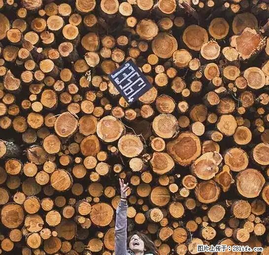 辞掉工作周游世界？现在他们在洗厕所…… - 游山玩水 - 湖州生活社区 - 湖州28生活网 huzhou.28life.net