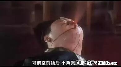笑癫了！一女的怀孕三年未生，他终于忍不住了... - 娱乐八卦 - 湖州生活社区 - 湖州28生活网 huzhou.28life.net