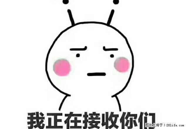 百合公寓1室1厅，6楼40平良装 - 房屋出租 - 房屋租售 - 湖州分类信息 - 湖州28生活网 huzhou.28life.net