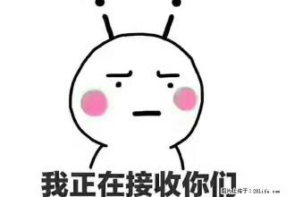 百合公寓1室1厅，6楼40平良装 - 湖州28生活网 huzhou.28life.net