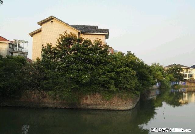 嘉业庄别墅 9室2厅6卫 - 房屋出租 - 房屋租售 - 湖州分类信息 - 湖州28生活网 huzhou.28life.net