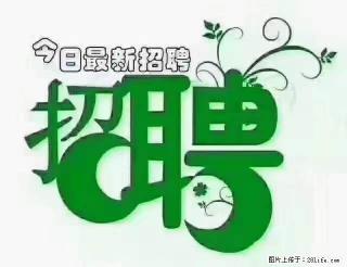 【招聘摄像师】待遇：试用期6000元/月，转正7000元/月+五险一金+餐补+节日福利+奖金 - 湖州28生活网 huzhou.28life.net