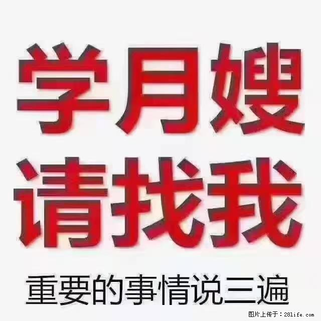 【招聘】月嫂，上海徐汇区 - 职场交流 - 湖州生活社区 - 湖州28生活网 huzhou.28life.net
