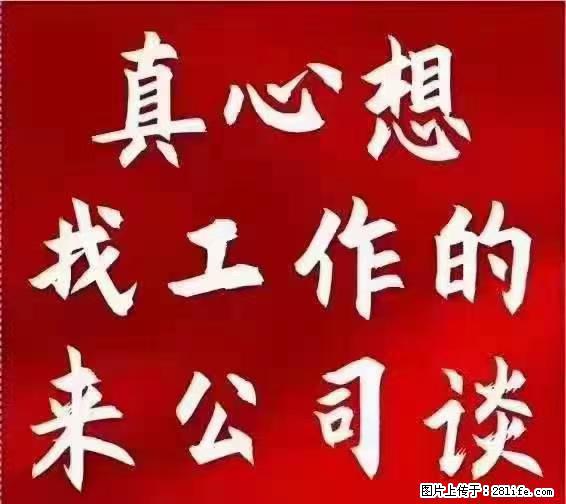 【上海】国企，医院招两名男保安，55岁以下，身高1.7米以上，无犯罪记录不良嗜好 - 职场交流 - 湖州生活社区 - 湖州28生活网 huzhou.28life.net