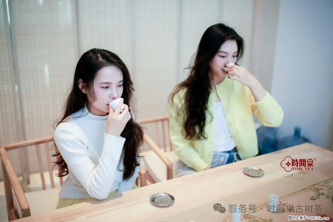 时间果百年古树龙珠普洱生茶 - 购物交流 - 湖州生活社区 - 湖州28生活网 huzhou.28life.net