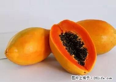 晕车、脚气、牙齿变黄、皮肤粗糙？学会这些三分钟搞定！ - 湖州生活资讯 - 湖州28生活网 huzhou.28life.net