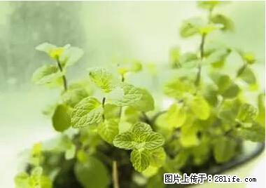 晕车、脚气、牙齿变黄、皮肤粗糙？学会这些三分钟搞定！ - 湖州生活资讯 - 湖州28生活网 huzhou.28life.net