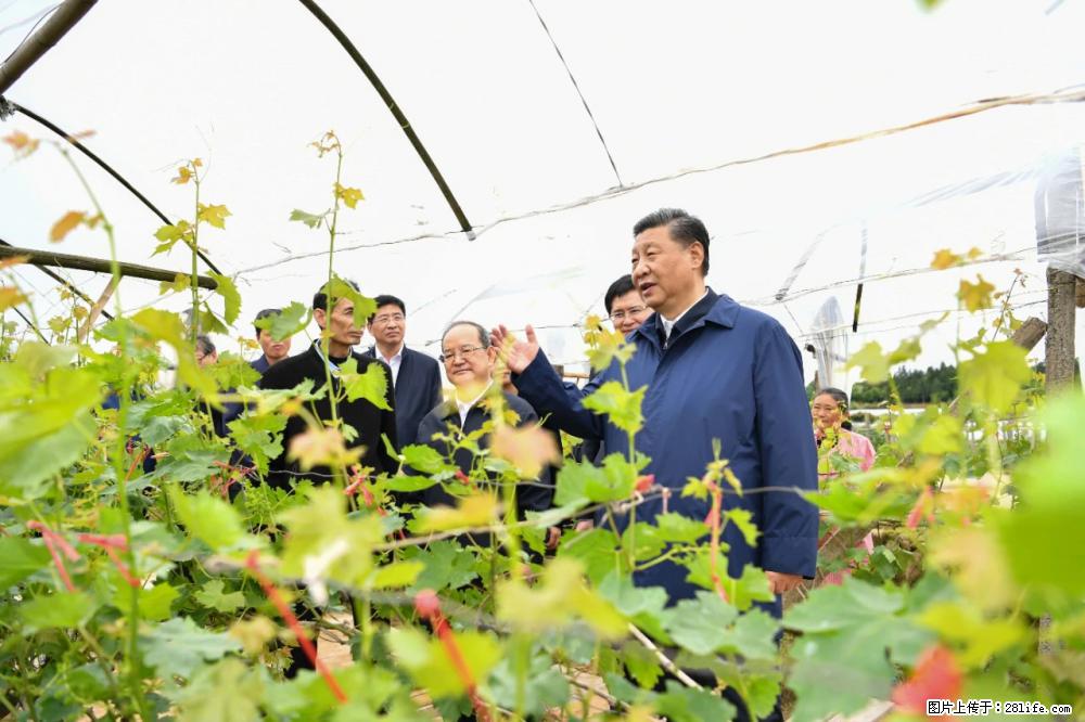 习近平赴广西考察调研 - 湖州生活资讯 - 湖州28生活网 huzhou.28life.net