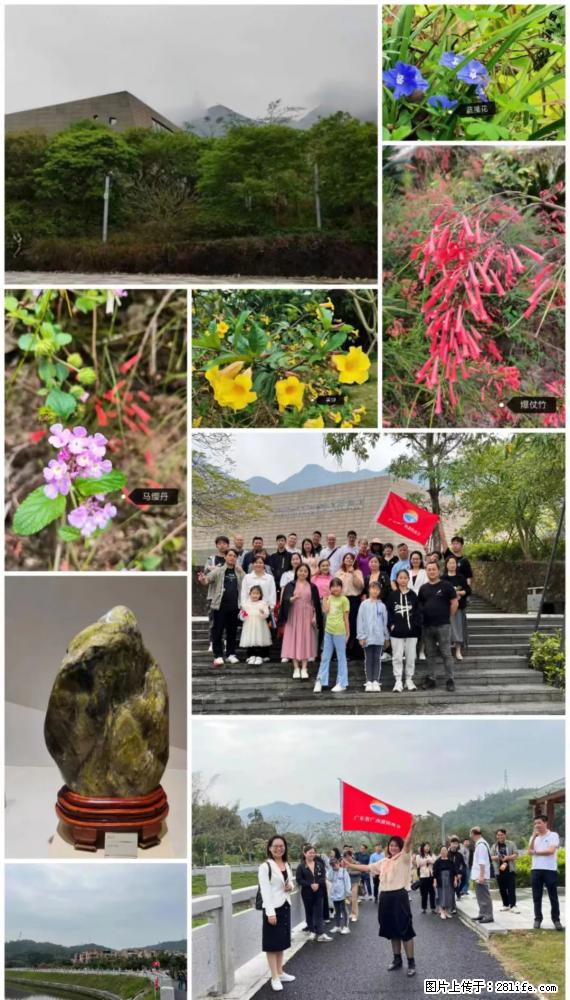 “粤灌文化 美好生活”油茶文化主题活动在广东深圳成功举办 - 湖州生活资讯 - 湖州28生活网 huzhou.28life.net