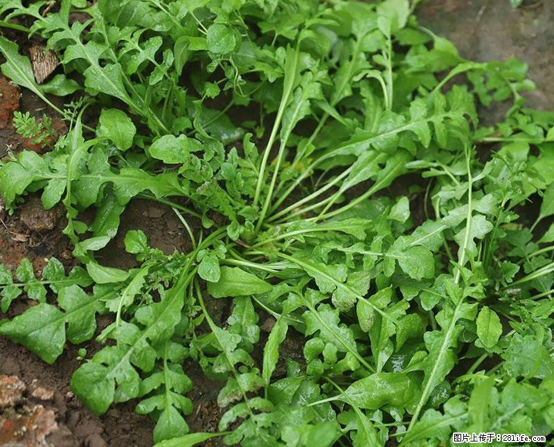 这些蔬菜是“天然钙片”，这6种被医生重点推荐 - 湖州生活资讯 - 湖州28生活网 huzhou.28life.net