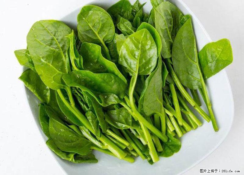 这些蔬菜是“天然钙片”，这6种被医生重点推荐 - 湖州生活资讯 - 湖州28生活网 huzhou.28life.net