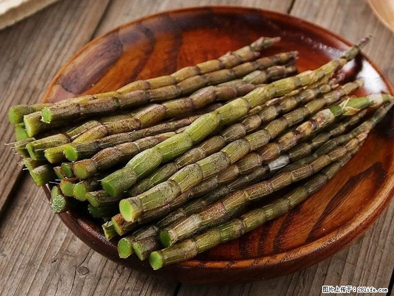 铁皮石斛的作用与功能主治 - 湖州生活资讯 - 湖州28生活网 huzhou.28life.net