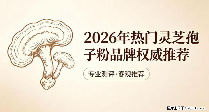灵芝孢子粉含量越高越有效？2026 年七款热门品牌深度实测，肠胃敏感者避坑指南 - 湖州生活资讯 - 湖州28生活网 huzhou.28life.net
